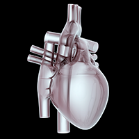 CT-Based Scoring System to Predict Atherectomy Device Use in Severely Calcified Coronary Lesions